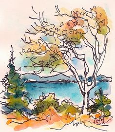 a watercolor and ink drawing of a tree by the ocean