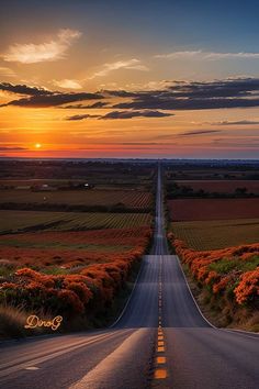 the sun is setting over an empty road with orange flowers on both sides and green fields in the background