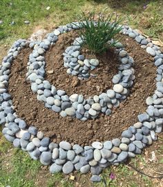 a circular garden design made out of rocks and dirt with a plant in the center