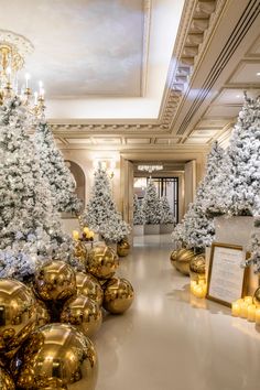 christmas trees are lined up in gold and white