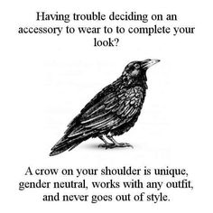 a black bird sitting on top of a white background with the words having trouble deciding an accessory to wear to complete your look?