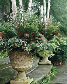 a planter filled with lots of greenery sitting on the side of a building