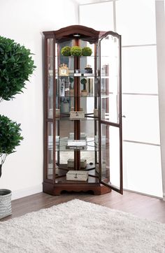 a tall wooden display case with glass doors and shelves on the sides, in front of a potted plant