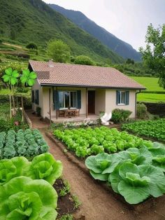 a small house with lots of green plants in the front yard and mountains in the background