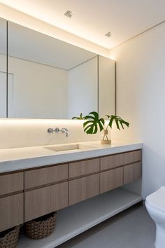 a white toilet sitting next to a bathroom sink under a large mirror with plants in it