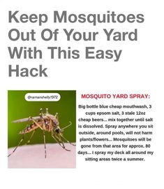 the mosquito is in front of a green background and text that reads keep mosquitoes out of