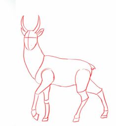 a drawing of an antelope standing in front of a white background with red lines