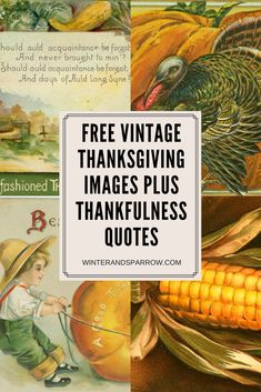 thanksgiving pictures with the words free vintage thanksgiving images plus thanksgiving quotes on top and bottom