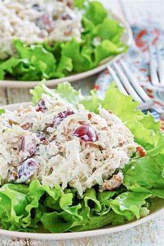 two plates filled with lettuce and chicken salad