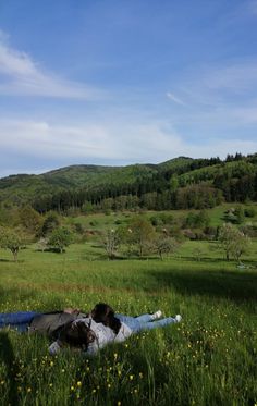 two people are laying in the grass with mountains in the background