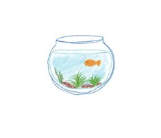 a drawing of a fish in a bowl