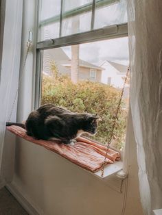 a black cat sitting on top of a window sill