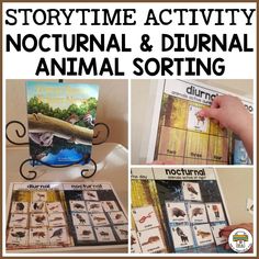 the story time activity for nocturn and journal animal sorting