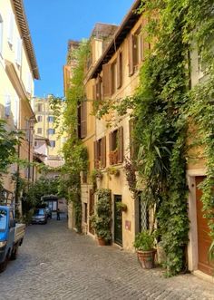 an alley way with cars parked on both sides and plants growing up the side of it