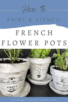 french flower pots with herbs in them and the words how to paint & stencil