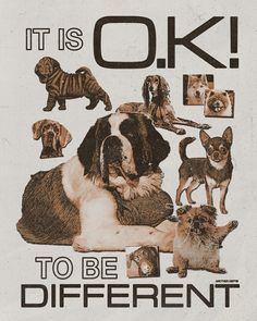 there is a poster with dogs and cats on it that says ok to be different