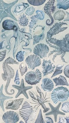 an ocean themed wallpaper with various sea animals and seashells on white paper