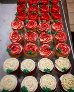 cupcakes with red and white frosting are arranged on a tray