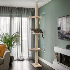 a cat sitting on top of a scratching post in a living room next to a couch