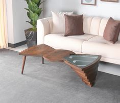 a living room with a couch, coffee table and potted plant in the corner