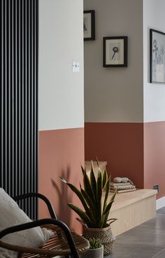 a living room with a plant and pictures on the wall