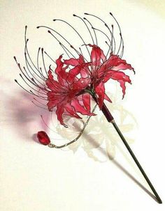 a red flower with long stems on a white surface