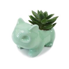 a small green ceramic pig next to a succulent plant on a white background