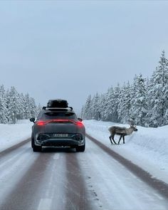 a car driving down a snow covered road with two deer walking next to it on the side