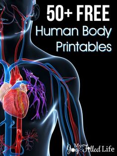 the human body is shown with text that reads 50 + free human body printables