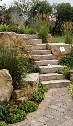 a garden with stone steps and plants