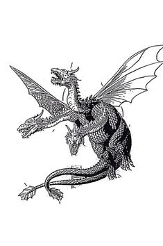 a black and white drawing of a dragon