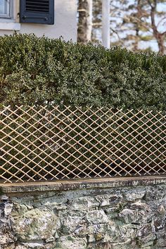 a cat sitting on top of a wooden bench next to a stone wall