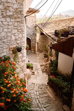 an alley way with flowers growing on the side