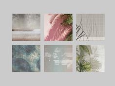 four different images with palm trees and water in them, one is gray the other is pink