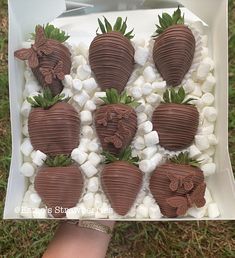 chocolate covered strawberries and marshmallows in a box