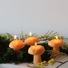 four candles are lit in the shape of mushrooms