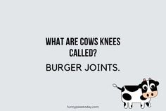 Cow Jokes, Lunchbox Jokes