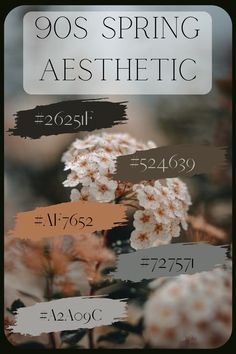 an image of flowers with the words spring aesthetic on them in black and orange colors