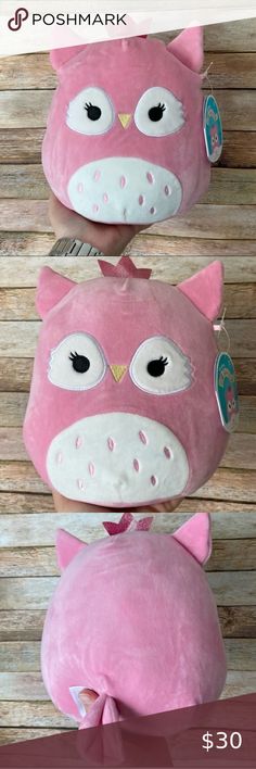 Squishmallow Bri The Pink Owl NEW Squish Mallow, Plushie Collection, Pink Owl, Christmas 2022, Guest Dress, 8th Birthday, Inner Child, The Pink, Next Day