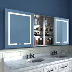 a bathroom with double sinks and blue walls