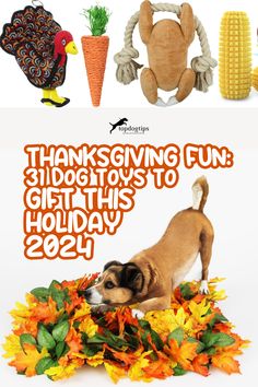 Thanksgiving Fun: 31 Dog Toys to Gift This Holiday 2024