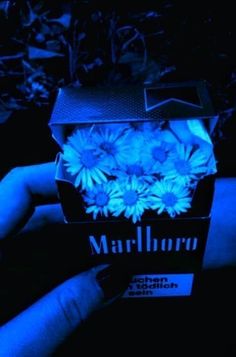 a person is holding a box with flowers in it and the light blue glows on them