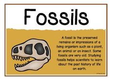 a fossil is the preserved remains or impressions of a living organ such as a plant, an animal or an insect