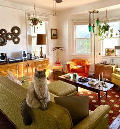 a cat sitting on the arm of a couch in a living room filled with furniture