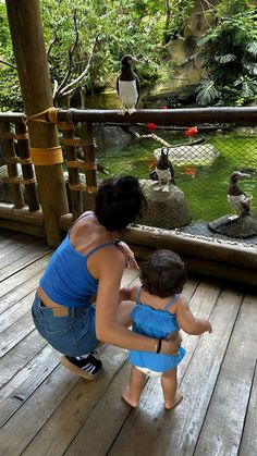 a mother and her child looking at ducks in an enclosure