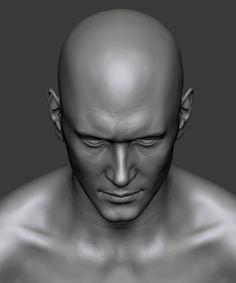 ArtStation - Homework Modulo 2, Tonatiuh de San Julian Face Modeling, 3d Anatomy, Head Anatomy, Face Angles, Face Anatomy, Anatomy Sculpture, Digital Sculpting, Face Study, Digital Sculpture