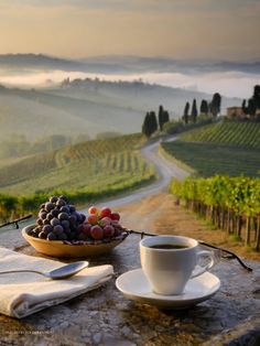 a bowl of grapes and a cup of coffee on a table overlooking a vineyard with fog in the distance