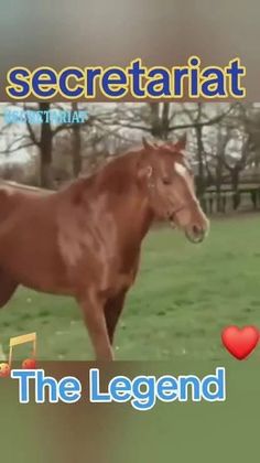 a brown horse standing on top of a lush green field next to a red heart