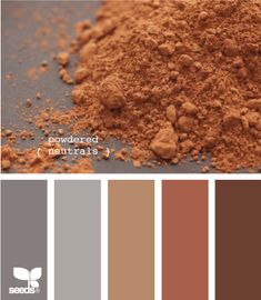 a color palette with different shades of brown