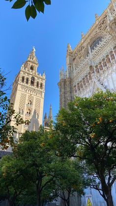 an orange tree in front of a tall building with two spires on each side